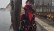 たいき