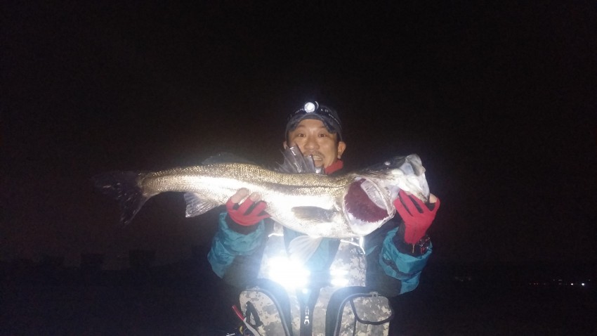 人生、フルキャスト