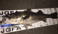 釣り場で仮眠83