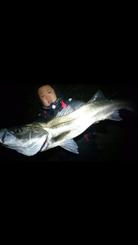 細野 史哉 （親方）