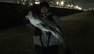 釣り場で仮眠