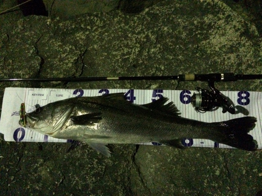 スズキタカノリ84