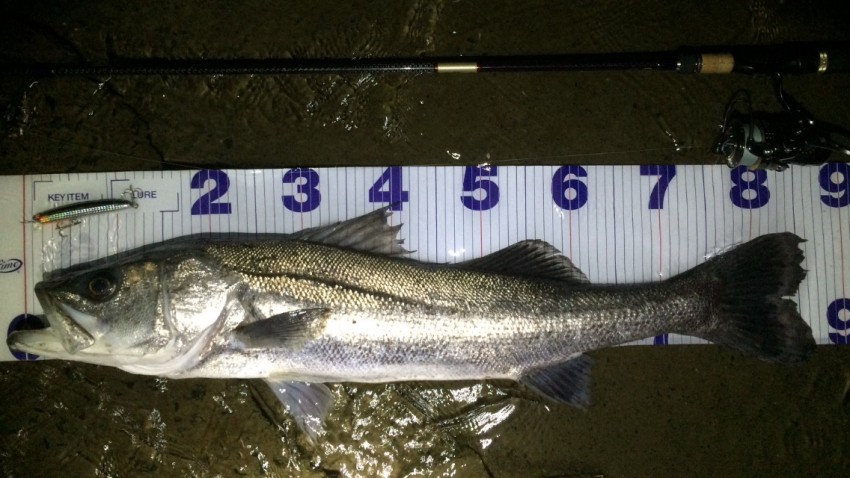 スズキタカノリ86