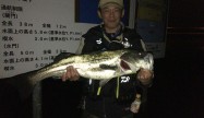 ヨッチ (2)