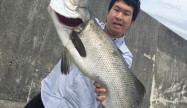 にしやん