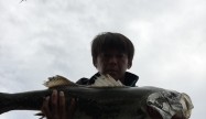 ヨッチ (2)