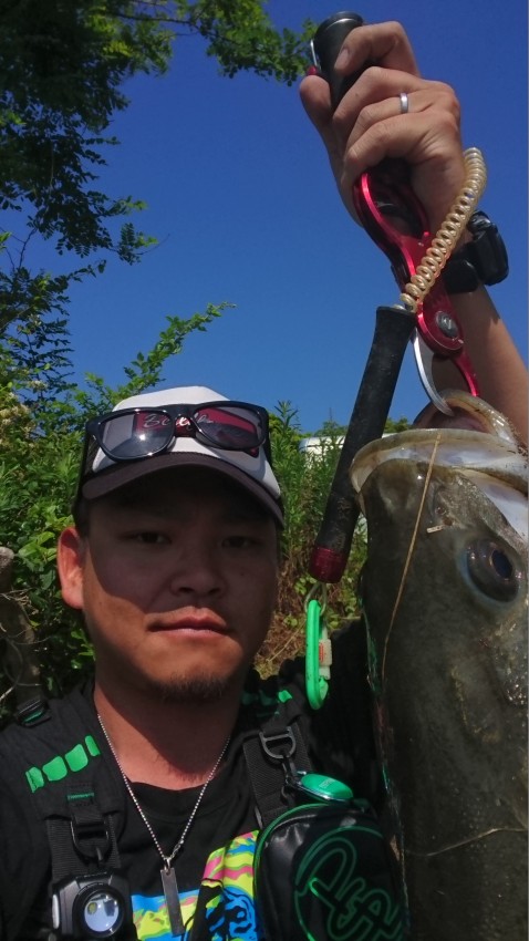 バイブの研修生