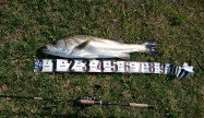 がっきー86