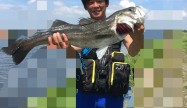 ヨッチ