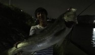 ｺｯｸﾞﾚ