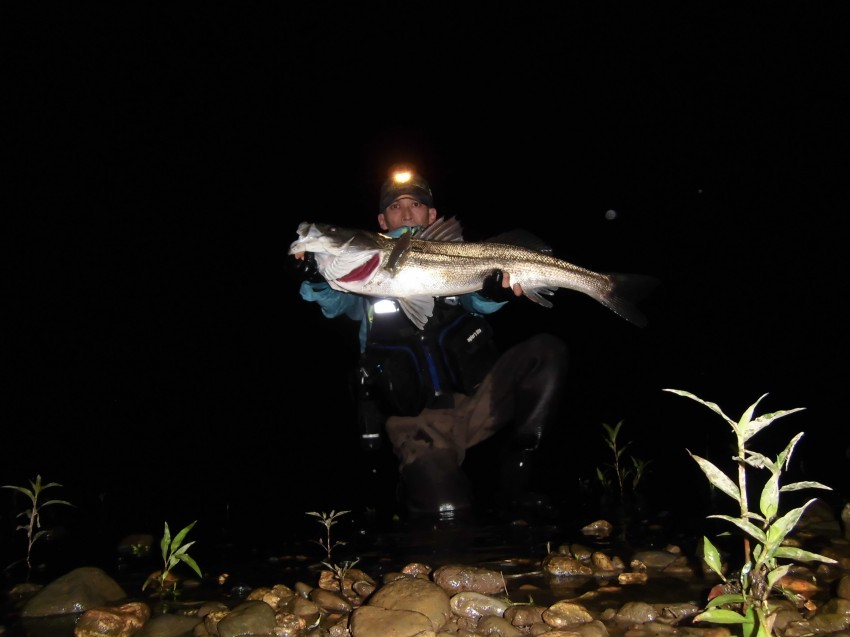 セタイシの父さん