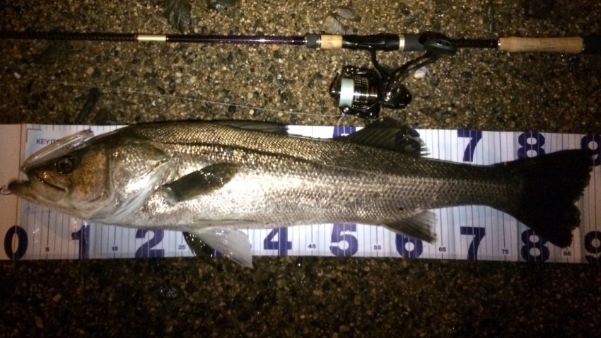 スズキタカノリ90