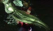 けいけい