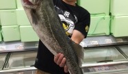 さとやん