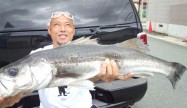 MAR