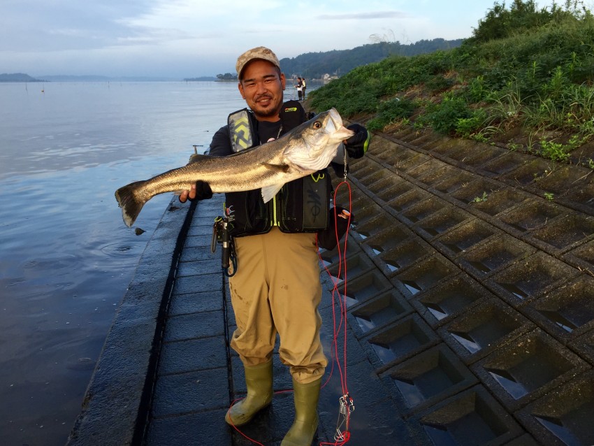 涸沼のもっくん