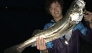 ひかる