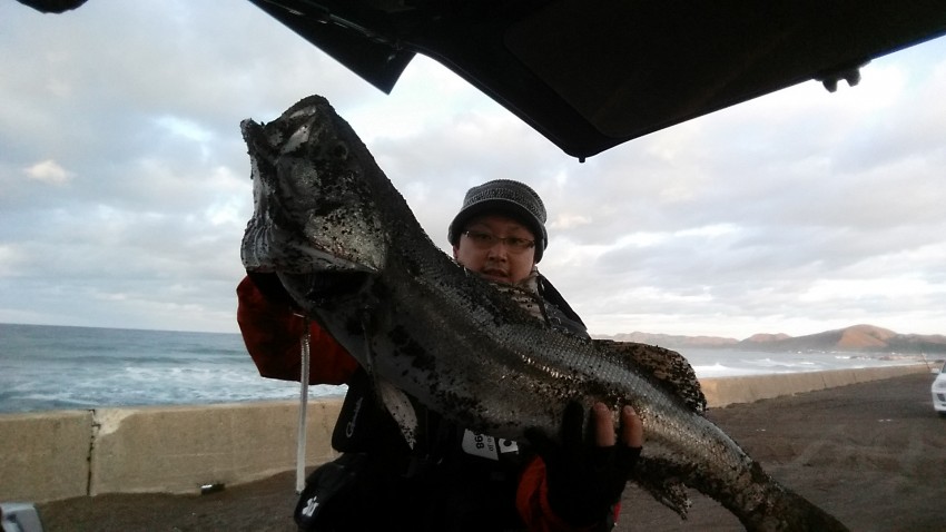 フィッシャーマン松風