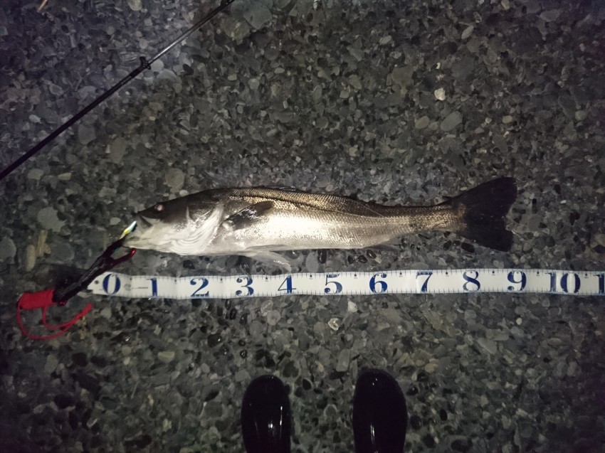 かみなりぐも90