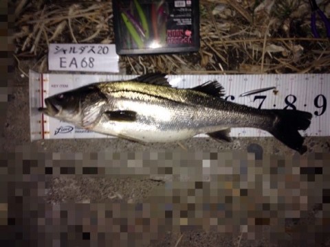 イチカバチカ87