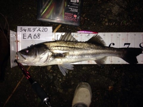 イチカバチカ80 (2)