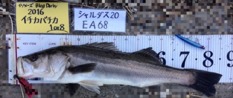 イチカバチカ86 (2)