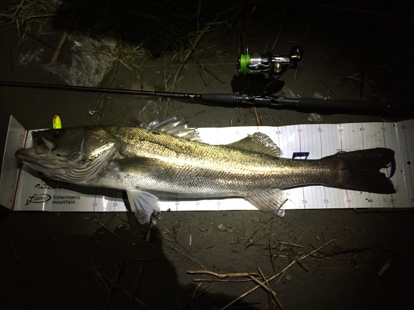 ダメットソン92