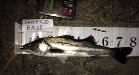 イチカバチカ80 (3)