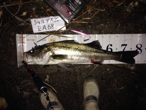 イチカバチカ80