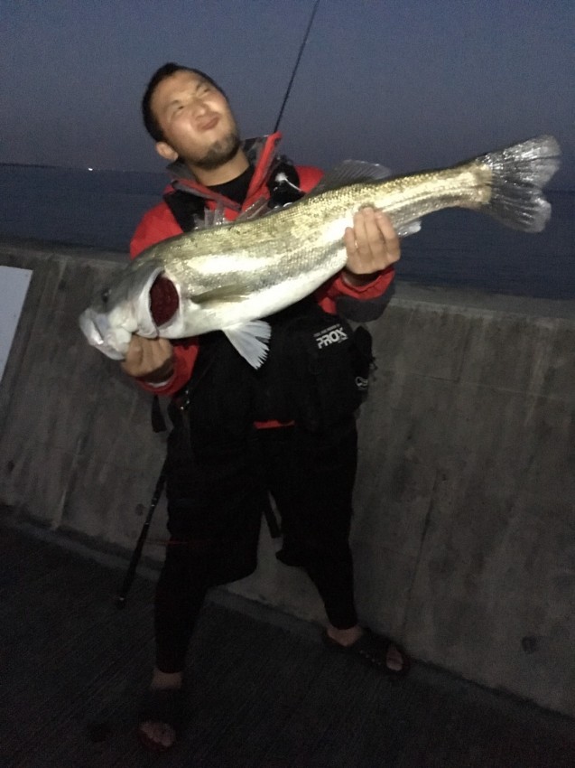 ＷＯＬＦ_ＲＹＯＴＡ (4)