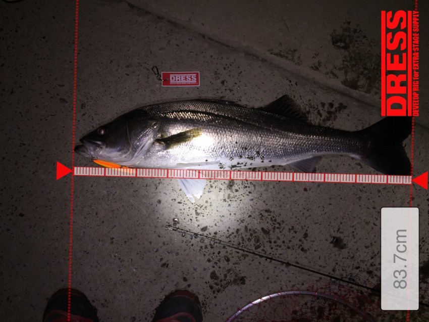 素人アングラ～83