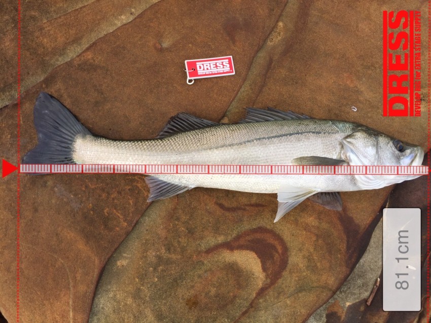 ＷＯＬＦ_ＲＹＯＴＡ81 (2)