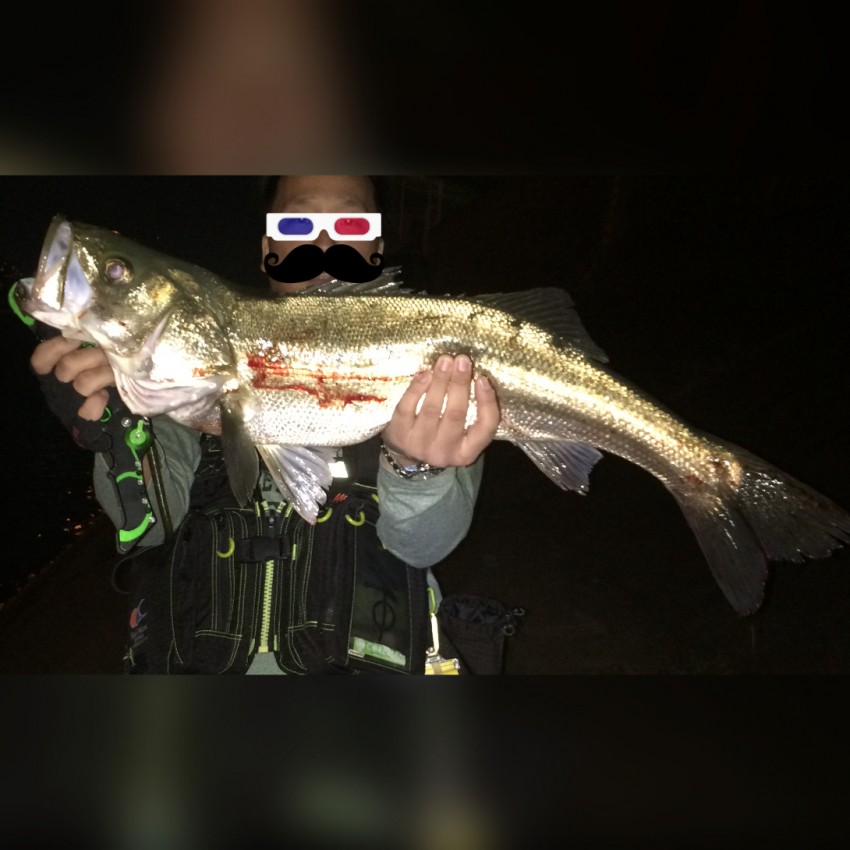 タマキン揺らし